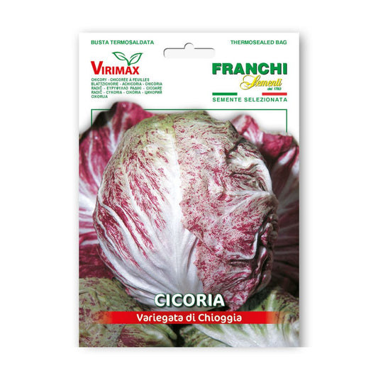 Cigoriņi lapu Variegata di Chioggia 10g