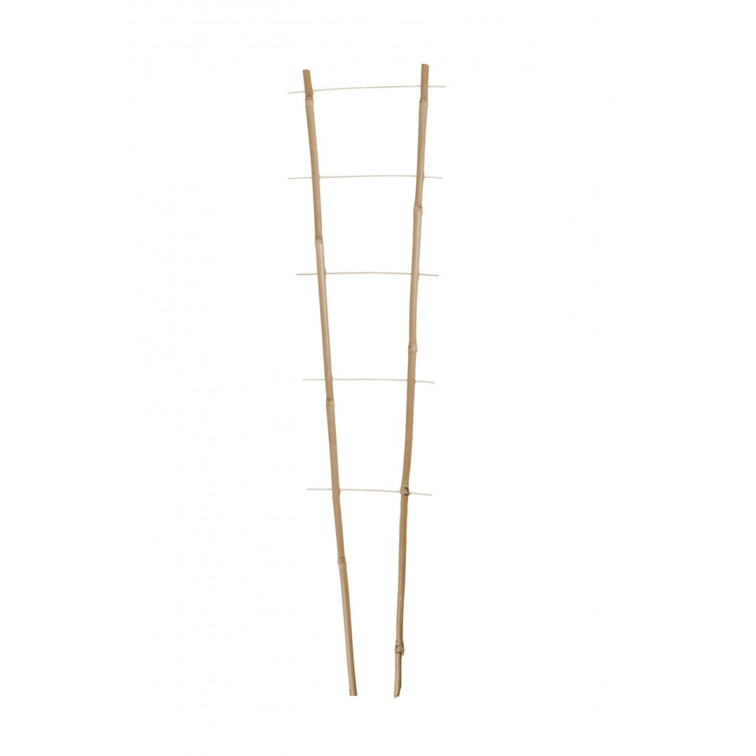 Atbalsta trepītes vīteņaugiem bambusa 1.2m