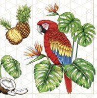 Salvetes putni Parrots with Tropical Motifs 1pac